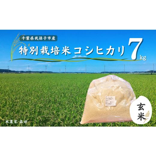 ふるさと納税 千葉県 我孫子市 冷めても美味しい！ 特別栽培米 コシヒカリ 7kg（玄米） 農家直送...