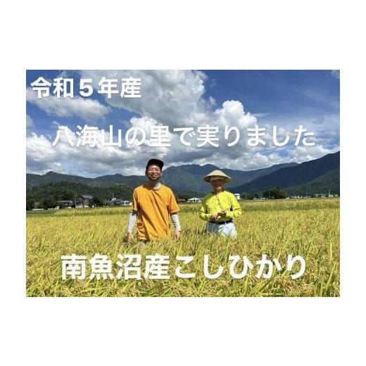 ふるさと納税 新潟県 南魚沼市 南魚沼産こしひかり5kgx３　八海山の里で実りました。[令和5年産]