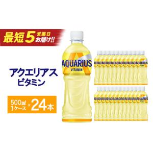 ふるさと納税 果汁飲料 宮城県 蔵王町 スピード発送 最短5営業日着 アクエリアス ビタミン　500ml PET×24本　 04301-0538