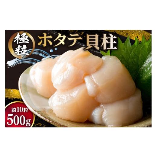 ふるさと納税 宮城県 気仙沼市 ホタテ 極粒 帆立貝柱 冷凍 （約500g／10粒前後)  ／ 水山...