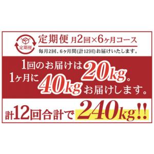 ふるさと納税 アウトドアグッズ 長崎県 川棚町...の詳細画像2