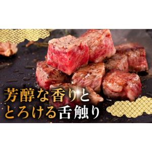 ふるさと納税 牛肉 サーロイン 長崎県 壱岐市...の詳細画像2