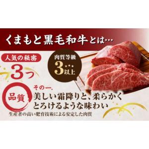 ふるさと納税 牛肉 ヒレ 熊本県 山鹿市 12...の詳細画像5