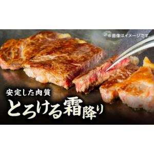 ふるさと納税 牛肉 ヒレ 熊本県 山鹿市 12...の詳細画像2