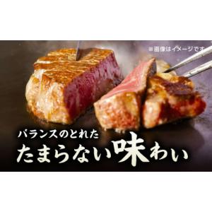 ふるさと納税 牛肉 ヒレ 熊本県 山鹿市 12...の詳細画像3