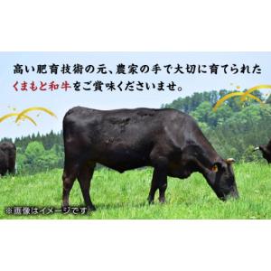 ふるさと納税 牛肉 ヒレ 熊本県 山鹿市 12...の詳細画像4