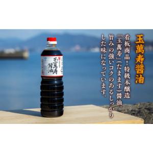 ふるさと納税 醤油 広島県 江田島市 全12回...の詳細画像3