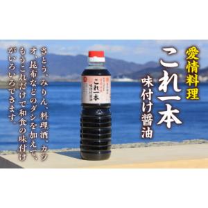 ふるさと納税 醤油 広島県 江田島市 全12回...の詳細画像3