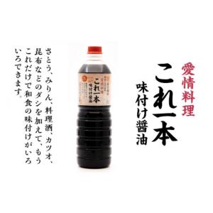 ふるさと納税 醤油 広島県 江田島市 全12回...の詳細画像2