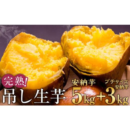 ふるさと納税 野菜類 サツマイモ 鹿児島県 中種子町 完熟吊し生芋セット 安納芋5kg＋プチサイズ安...