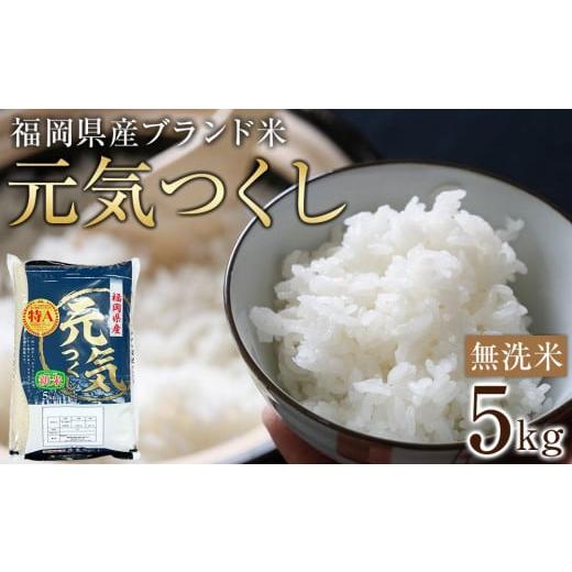 ふるさと納税 福岡県 筑前町 ＜令和5年産＞福岡県産ブランド米「元気つくし」無洗米5kg 【米 ブラ...