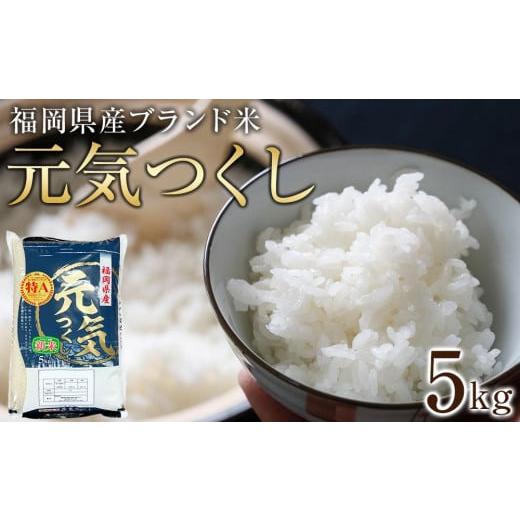 ふるさと納税 福岡県 筑前町 ＜令和5年産＞福岡県産ブランド米「元気つくし」白米5kg 【米 ブラン...