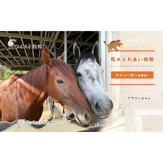 ふるさと納税 岡山県 瀬戸内市 馬 の ふれあい体験 チケット 1枚(1名様分) 体験 うま ケイメ...