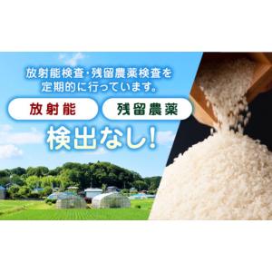 ふるさと納税 米 ブレンド 熊本県 山鹿市 無...の詳細画像5