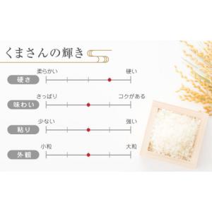 ふるさと納税 米 ブレンド 熊本県 山鹿市 〈...の詳細画像4