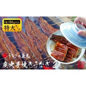 ふるさと納税 うなぎ 愛知県 西尾市 炭火手焼き 三河一色産 うなぎ蒲焼き 特大2尾（1尾あたり186g以上） 国産 鰻 蒲焼 愛知・U037-17