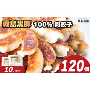 ふるさと納税 山口県 下関市 訳あり 霧島黒豚肉100％ 肉餃子 120個 12個×10パック 冷凍 小分け 冷凍餃子 大容量餃子 国産原料餃子 簡単調理餃子 ぎょうざ ギ…