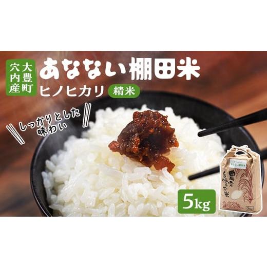 ふるさと納税 米 ヒノヒカリ 高知県 大豊町 あなない棚田米(精米)　5kg 1331020