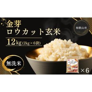 ふるさと納税 玄米 和歌山県 和歌山市 金芽ロウ...の商品画像