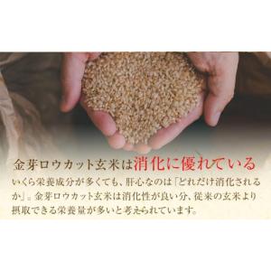 ふるさと納税 玄米 和歌山県 和歌山市 金芽ロ...の詳細画像2