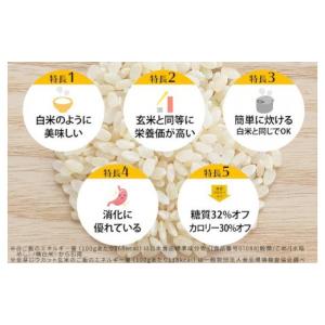 ふるさと納税 玄米 和歌山県 和歌山市 金芽ロ...の詳細画像3