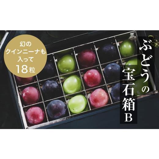 ふるさと納税 島根県 津和野町 『ぶどうの宝石箱B』(3品種)＜2024年9月より順次発送／ふるさと...