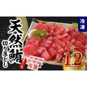 ふるさと納税 マグロ 大阪府 泉佐野市  家計応援 天然まぐろ 切り落とし 合計 1.2kg 小分け 150g×8P 訳あり サイズ不揃い 刺身 海鮮丼 鮪 まぐろ マグロ ユッ…