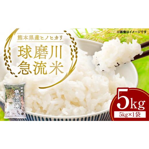 ふるさと納税 熊本県 八代市 【令和5年産】熊本県産 球磨川急流米 ヒノヒカリ 5kg×1袋