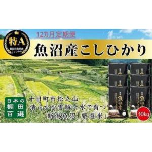 ふるさと納税 米 コシヒカリ 新潟県 十日町市 令和8年産 先行予約 「12カ月定期便」日本棚田百選のお米 天空の里・魚沼産こしひかり 30kg（5kg×6）×12回