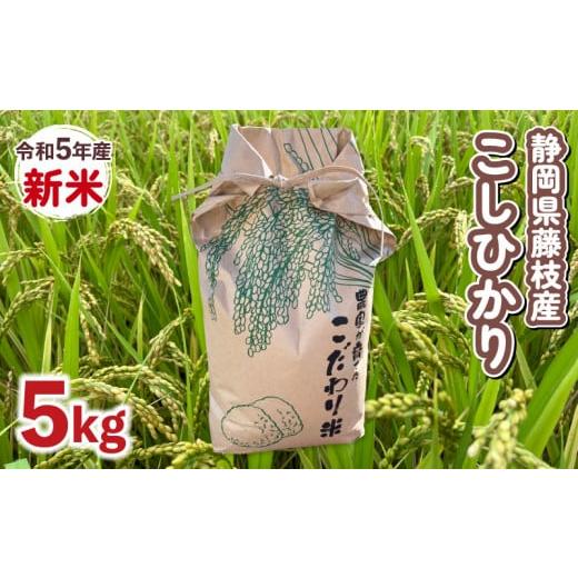 ふるさと納税 静岡県 藤枝市 新米 5kg 藤枝産 コシヒカリ 国産 おこめ 人気 令和5年産 静岡...