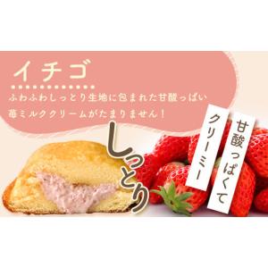 ふるさと納税 ケーキ・カステラ 佐賀県 鹿島市...の詳細画像5