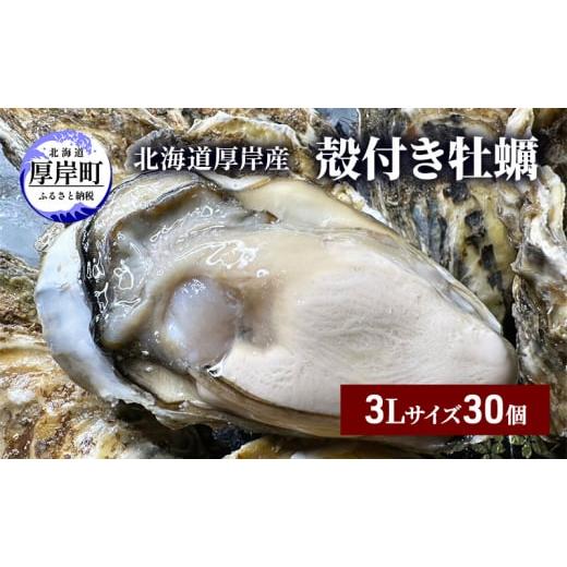 ふるさと納税 北海道 厚岸町 厚岸産 殻付き 牡蠣 3Lサイズ 30個 [No.5863-1017]...