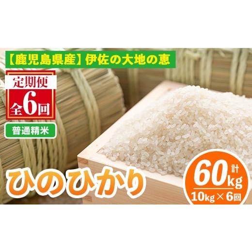 ふるさと納税 米 鹿児島県 伊佐市 isa520-A 定期便6回 普通精米 選べる精米方法 令和7年...