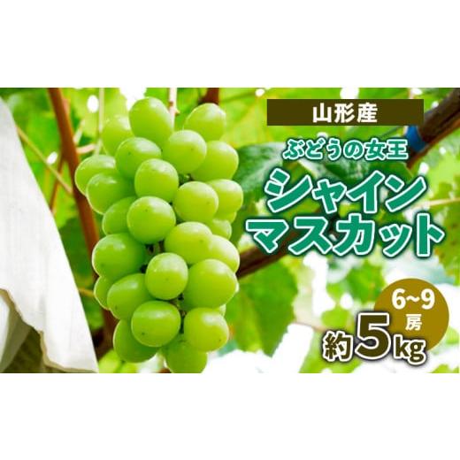 ふるさと納税 山形県 山形市 山形産ぶどうの女王 シャインマスカット　約5kg　（6〜9房） 【令和...