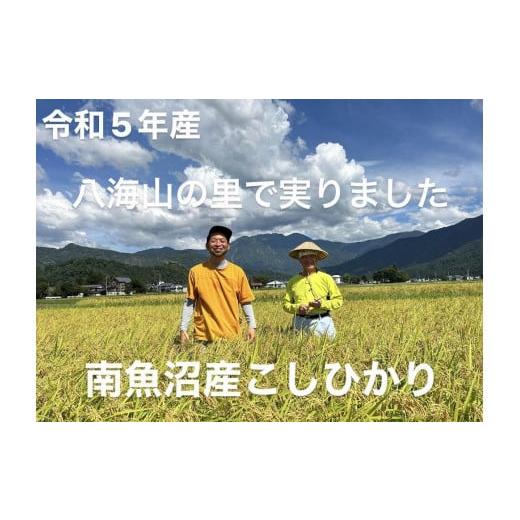 ふるさと納税 新潟県 南魚沼市 南魚沼産こしひかり＜定期便＞5kgx10回（月1回）八海山の里で実り...