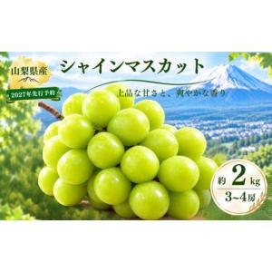 ふるさと納税 ぶどう マスカット 山梨県 都留...の詳細画像1