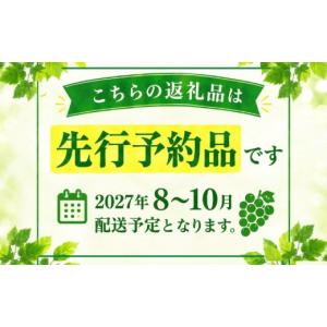 ふるさと納税 ぶどう マスカット 山梨県 都留...の詳細画像2