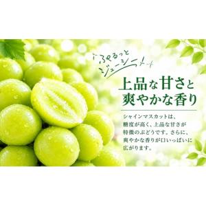 ふるさと納税 ぶどう マスカット 山梨県 都留...の詳細画像3