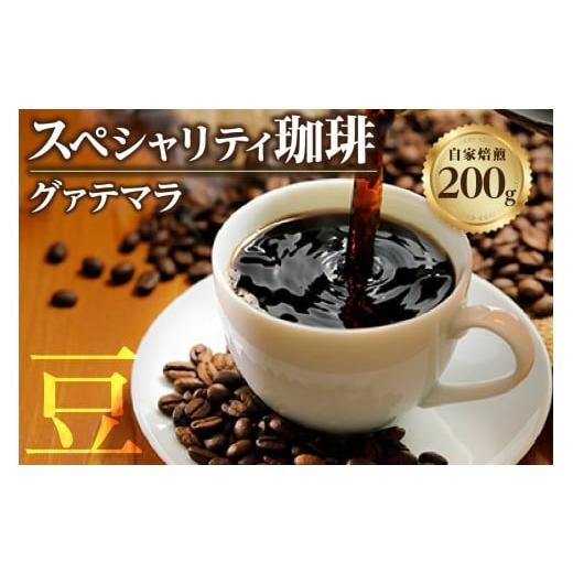 ふるさと納税 愛知県 知多市 【スペシャリティ珈琲豆】グァテマラ ／ コーヒー コーヒー豆 焙煎 ブ...