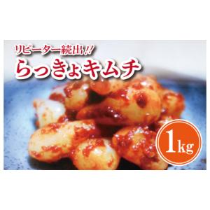 ふるさと納税 加工品等 キムチ 大阪府 泉佐野...の詳細画像1