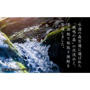 ふるさと納税 焼酎 米 長崎県 対馬市 全12...の詳細画像3