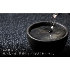 ふるさと納税 焼酎 米 長崎県 対馬市 全12...の詳細画像4