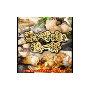 ふるさと納税 牛肉 ホルモン 宮崎県 小林市 ...の詳細画像3