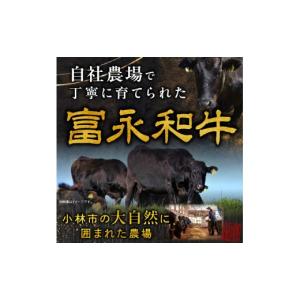 ふるさと納税 牛肉 ホルモン 宮崎県 小林市 ...の詳細画像4