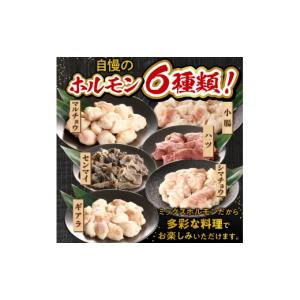 ふるさと納税 牛肉 ホルモン 宮崎県 小林市 ...の詳細画像5