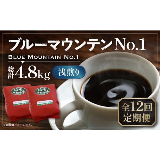 ふるさと納税 福岡県 豊前市 【粉でお届け】【全12回定期便】ブルーマウンテン NO.1 コーヒー ...