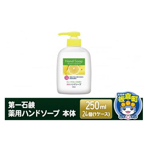 ふるさと納税 群馬県 板倉町 第一石鹸 薬用ハンドソープ 本体 250ml×24個（1ケース）