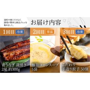 ふるさと納税 うなぎ 愛知県 田原市 渥美半島...の詳細画像1