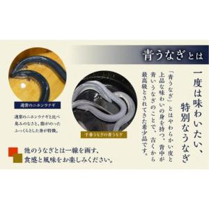 ふるさと納税 うなぎ 愛知県 田原市 渥美半島...の詳細画像4