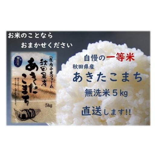 ふるさと納税 秋田県 大仙市 令和5年産 秋田県産あきたこまち 一等米 農家直送 無洗米5kg